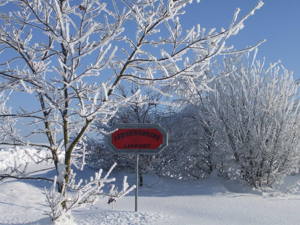 Ferienwohnung Lippert Pullenreuth Екстериор снимка